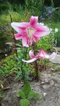 20200725_121831.jpg