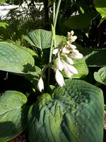 20200725_165959.jpg