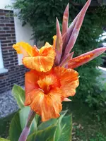 20200725_174746.jpg