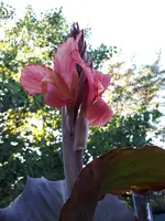 20200723_200233.jpg