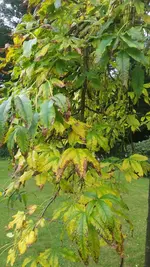 20200725_131710.webp