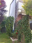 20200528_115410.jpg