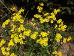 DSCF3075.JPG