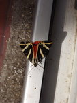DSCF3071.JPG