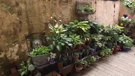 000DSCF3028.webp