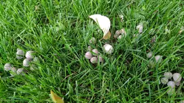 IMG_20200726_163028_copy_2016x1134.webp