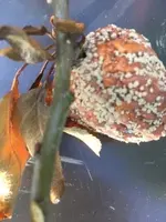 Bild 26.07.20 um 19.21 1.webp