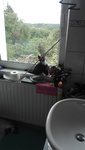 IMG_20200726_141828.jpg