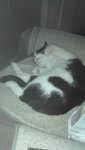 IMG_20200716_214411.jpg