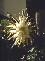 P1020177.JPG