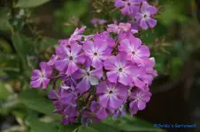 comp_DSC09216.webp