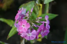 comp_DSC09217.webp
