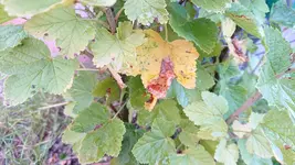 DSC_1612.webp