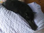 20200728_140925.jpg