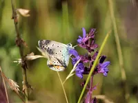 image003.webp