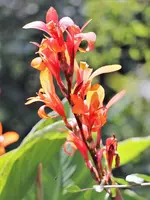image007.jpg