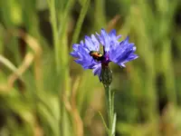 image011.webp