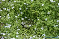 comp_DSC09229.webp
