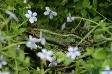 comp_DSC09230.webp