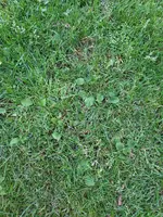 20200728_210818.webp