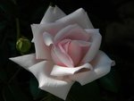DSCN6322.JPG