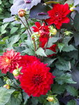 20200728_193835.jpg