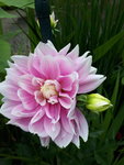20200727_173114.jpg