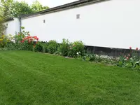 Tulpen + Phlox.webp