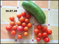 c044.webp