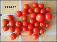 c045.webp