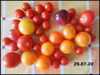 c046.webp