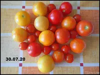 c047.jpg