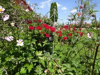 DSC01179.webp