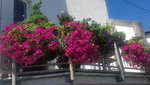 20200730_124349.jpg