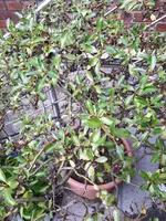 20200730_162649.webp