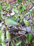 20200730_162810.jpg