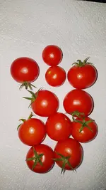 20200730_165032.webp