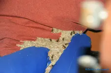 comp_DSC09240.webp