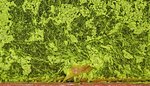 2020green02.jpg