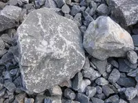 DSCI0964 (1).webp