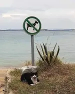 IMG-20191017-WA0000.webp