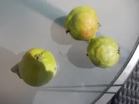 DSCN2983.webp DSCN2983.webp