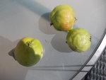 DSCN2983.JPG