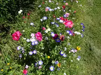DSC01180.webp