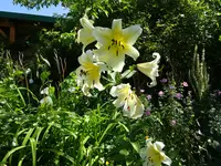 DSC01187.webp