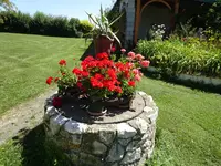 DSC01191.webp