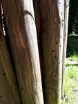 20200731_121540.jpg
