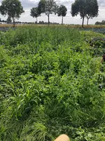 20200722_170222.webp 20200722_170222.webp