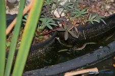 comp_DSC09242.webp