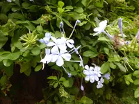 P1140431.webp